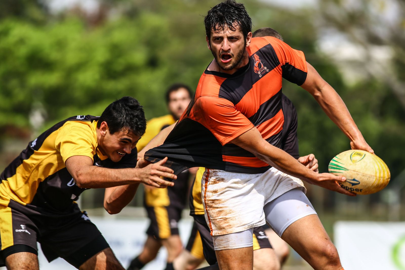 FUPE - Confira a tabela e chaveamento do Paulista Universitário de Rugby  Sevens